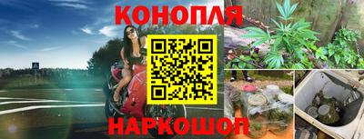 PSILOCYBIN Братск