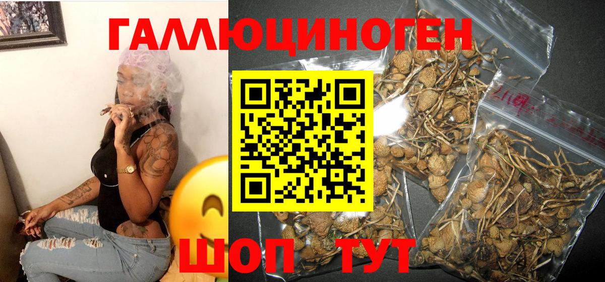 Псилоцибиновые грибы Psilocybe  Вход с VPN  Астрахань 
