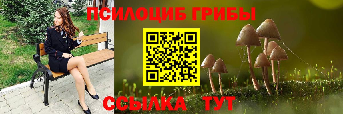 Галлюциногенные грибы Cubensis Астрахань